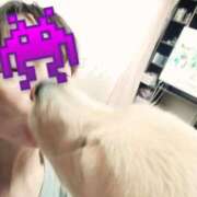 ヒメ日記 2025/07/05 10:45 投稿 ことか 熟女総本店