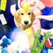 ヒメ日記 2025/07/06 21:21 投稿 ことか 熟女総本店