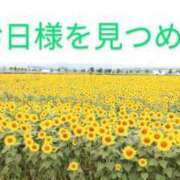 ヒメ日記 2025/08/09 07:28 投稿 ことか 熟女総本店