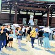 ヒメ日記 2025/08/16 19:15 投稿 ことか 熟女総本店