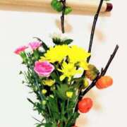 ヒメ日記 2025/11/01 13:25 投稿 ことか 熟女総本店