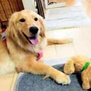 ヒメ日記 2026/02/26 06:02 投稿 ことか 熟女総本店