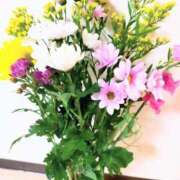 ヒメ日記 2026/02/28 19:12 投稿 ことか 熟女総本店