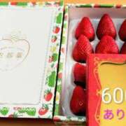 ヒメ日記 2026/03/17 08:02 投稿 ことか 熟女総本店