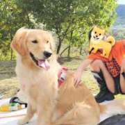 ヒメ日記 2026/04/06 08:22 投稿 ことか 熟女総本店