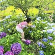 ことか 💐シヨウカ…紫陽花💐 熟女総本店