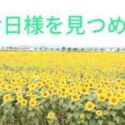 ヒメ日記 2026/08/01 14:42 投稿 ことか 熟女総本店