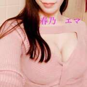 ヒメ日記 2025/02/17 10:35 投稿 春乃エマ セレブショップ新宿（東京ハレ系）