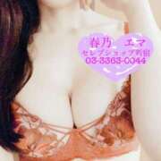 ヒメ日記 2025/03/04 09:00 投稿 春乃エマ セレブショップ新宿（東京ハレ系）