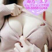 ヒメ日記 2025/03/17 12:15 投稿 春乃エマ セレブショップ新宿（東京ハレ系）