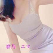 ヒメ日記 2025/09/16 09:00 投稿 春乃エマ セレブショップ新宿（東京ハレ系）