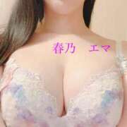 ヒメ日記 2025/11/29 12:40 投稿 春乃エマ セレブショップ新宿（東京ハレ系）