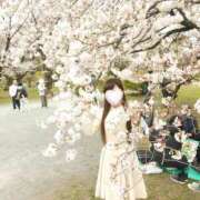 ヒメ日記 2025/03/30 21:59 投稿 くらら先生 鶯谷 大人の幼稚園