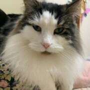 ヒメ日記 2025/02/22 03:05 投稿 ほのか 名古屋Ｍ性感 ルーフ倶楽部