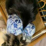 ヒメ日記 2025/03/08 01:56 投稿 ほのか 名古屋Ｍ性感 ルーフ倶楽部