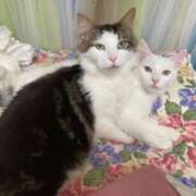 ヒメ日記 2025/03/16 19:59 投稿 ほのか 名古屋Ｍ性感 ルーフ倶楽部