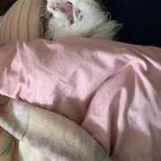 ヒメ日記 2025/03/25 00:10 投稿 ほのか 名古屋Ｍ性感 ルーフ倶楽部