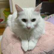 ヒメ日記 2025/03/26 16:40 投稿 ほのか 名古屋Ｍ性感 ルーフ倶楽部