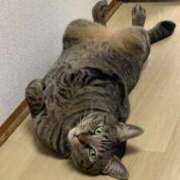 ヒメ日記 2025/04/13 18:25 投稿 ほのか 名古屋Ｍ性感 ルーフ倶楽部