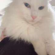 ヒメ日記 2025/04/21 01:29 投稿 ほのか 名古屋Ｍ性感 ルーフ倶楽部