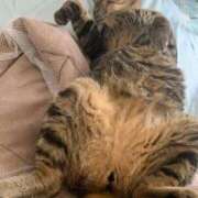 ヒメ日記 2025/05/18 12:56 投稿 ほのか 名古屋Ｍ性感 ルーフ倶楽部