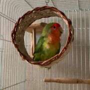 ヒメ日記 2025/05/19 12:01 投稿 ほのか 名古屋Ｍ性感 ルーフ倶楽部