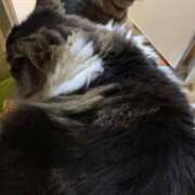 ヒメ日記 2025/05/26 19:42 投稿 ほのか 名古屋Ｍ性感 ルーフ倶楽部