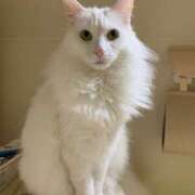 ヒメ日記 2025/05/27 18:17 投稿 ほのか 名古屋Ｍ性感 ルーフ倶楽部