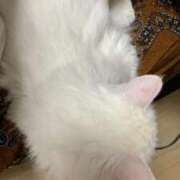 ヒメ日記 2025/05/29 12:31 投稿 ほのか 名古屋Ｍ性感 ルーフ倶楽部