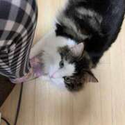 ヒメ日記 2025/06/05 00:24 投稿 ほのか 名古屋Ｍ性感 ルーフ倶楽部