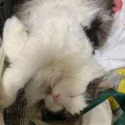 ヒメ日記 2025/06/08 18:59 投稿 ほのか 名古屋Ｍ性感 ルーフ倶楽部