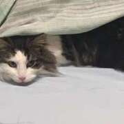 ヒメ日記 2025/06/15 02:49 投稿 ほのか 名古屋Ｍ性感 ルーフ倶楽部