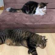 ヒメ日記 2025/07/02 22:07 投稿 ほのか 名古屋Ｍ性感 ルーフ倶楽部