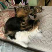 ヒメ日記 2025/07/09 14:10 投稿 ほのか 名古屋Ｍ性感 ルーフ倶楽部