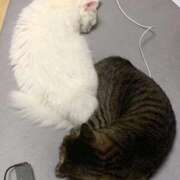 ヒメ日記 2025/12/18 18:24 投稿 ほのか 名古屋Ｍ性感 ルーフ倶楽部