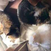 ヒメ日記 2025/12/28 22:32 投稿 ほのか 名古屋Ｍ性感 ルーフ倶楽部