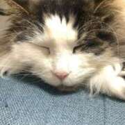 ヒメ日記 2026/01/17 16:41 投稿 ほのか 名古屋Ｍ性感 ルーフ倶楽部