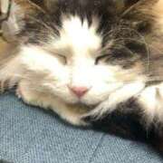 ヒメ日記 2026/01/22 10:37 投稿 ほのか 名古屋Ｍ性感 ルーフ倶楽部