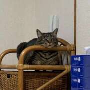 ヒメ日記 2026/01/23 17:51 投稿 ほのか 名古屋Ｍ性感 ルーフ倶楽部