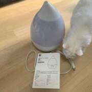 ヒメ日記 2026/01/25 22:10 投稿 ほのか 名古屋Ｍ性感 ルーフ倶楽部