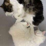 ヒメ日記 2026/02/13 17:08 投稿 ほのか 名古屋Ｍ性感 ルーフ倶楽部