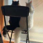 ヒメ日記 2026/02/23 16:15 投稿 ほのか 名古屋Ｍ性感 ルーフ倶楽部