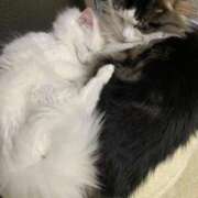 ヒメ日記 2026/02/26 15:39 投稿 ほのか 名古屋Ｍ性感 ルーフ倶楽部