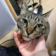 ヒメ日記 2026/04/01 18:20 投稿 ほのか 名古屋Ｍ性感 ルーフ倶楽部