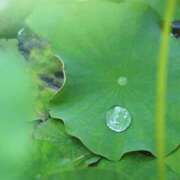 ヒメ日記 2025/03/13 09:03 投稿 ちなみ 奥鉄オクテツ東京店（デリヘル市場）