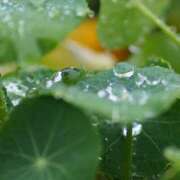 ヒメ日記 2025/05/18 23:26 投稿 ちなみ 奥鉄オクテツ東京店（デリヘル市場）