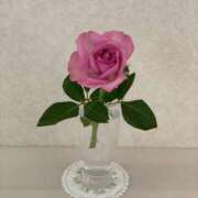 ヒメ日記 2024/12/19 12:07 投稿 うた 東京人妻セレブリティ（ユメオト）