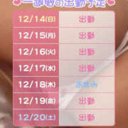 ヒメ日記 2025/12/14 06:36 投稿 松本きょうこ 横浜プロダクション