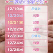 ヒメ日記 2025/12/19 06:53 投稿 松本きょうこ 横浜プロダクション