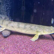 ヒメ日記 2025/12/21 07:00 投稿 松本きょうこ 横浜プロダクション